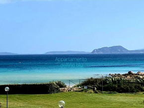 Appartamenti delfini terza spiaggia Golfo Aranci